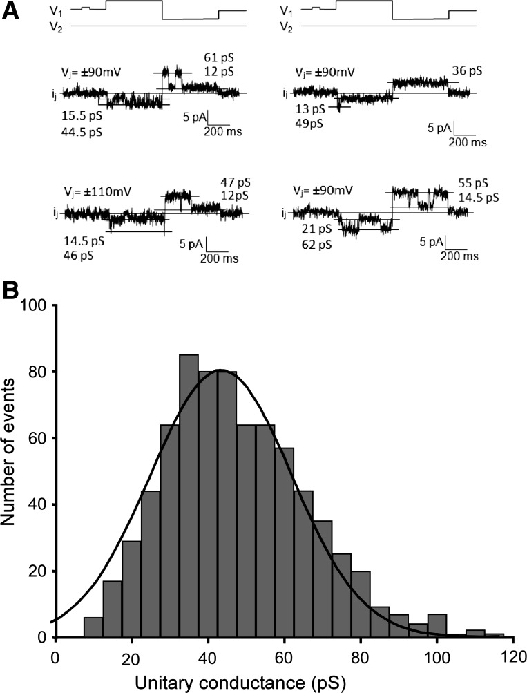 Fig. 3.