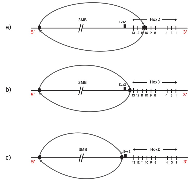 Fig. (5)