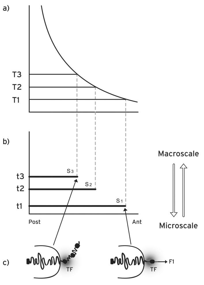 Fig. (1)