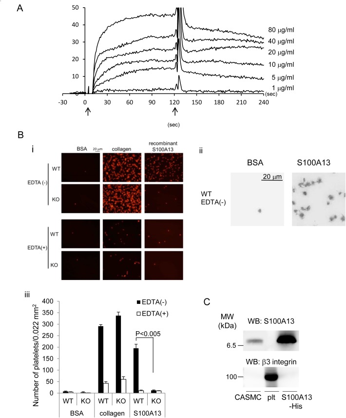 Fig 7