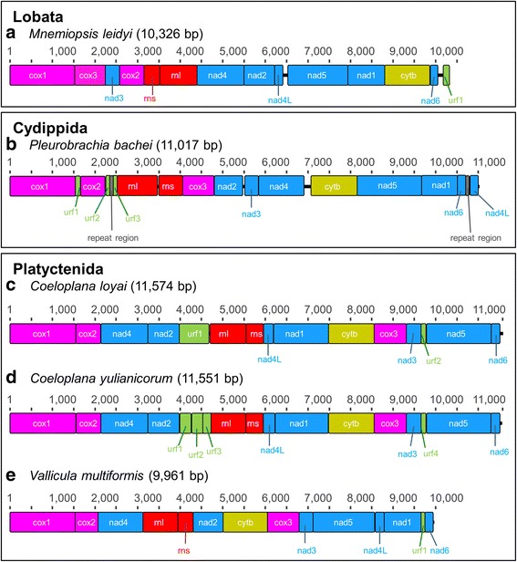 Fig. 2