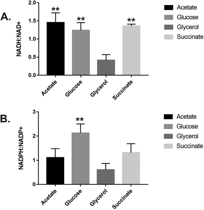 FIG 6