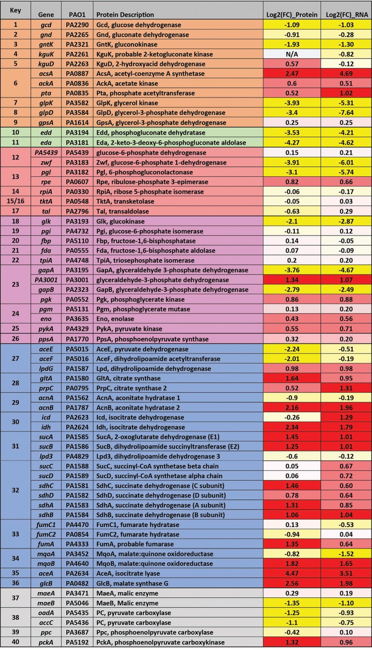 FIG 2