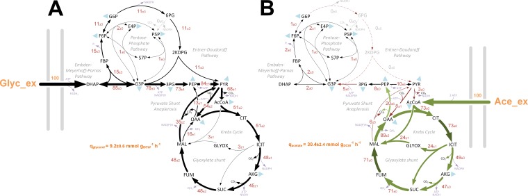 FIG 4