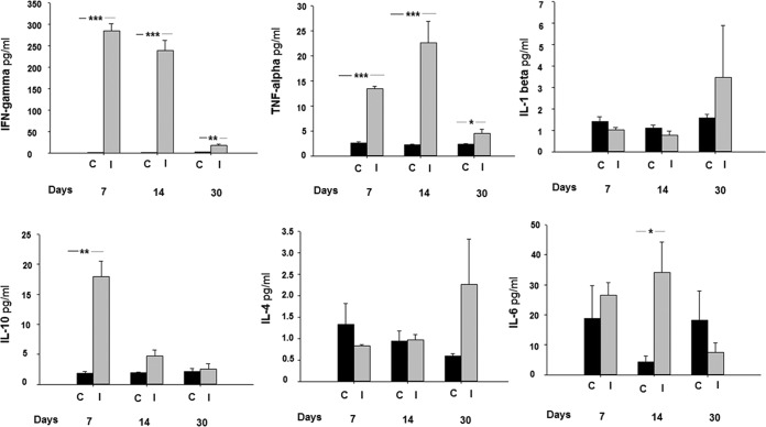 FIG 2