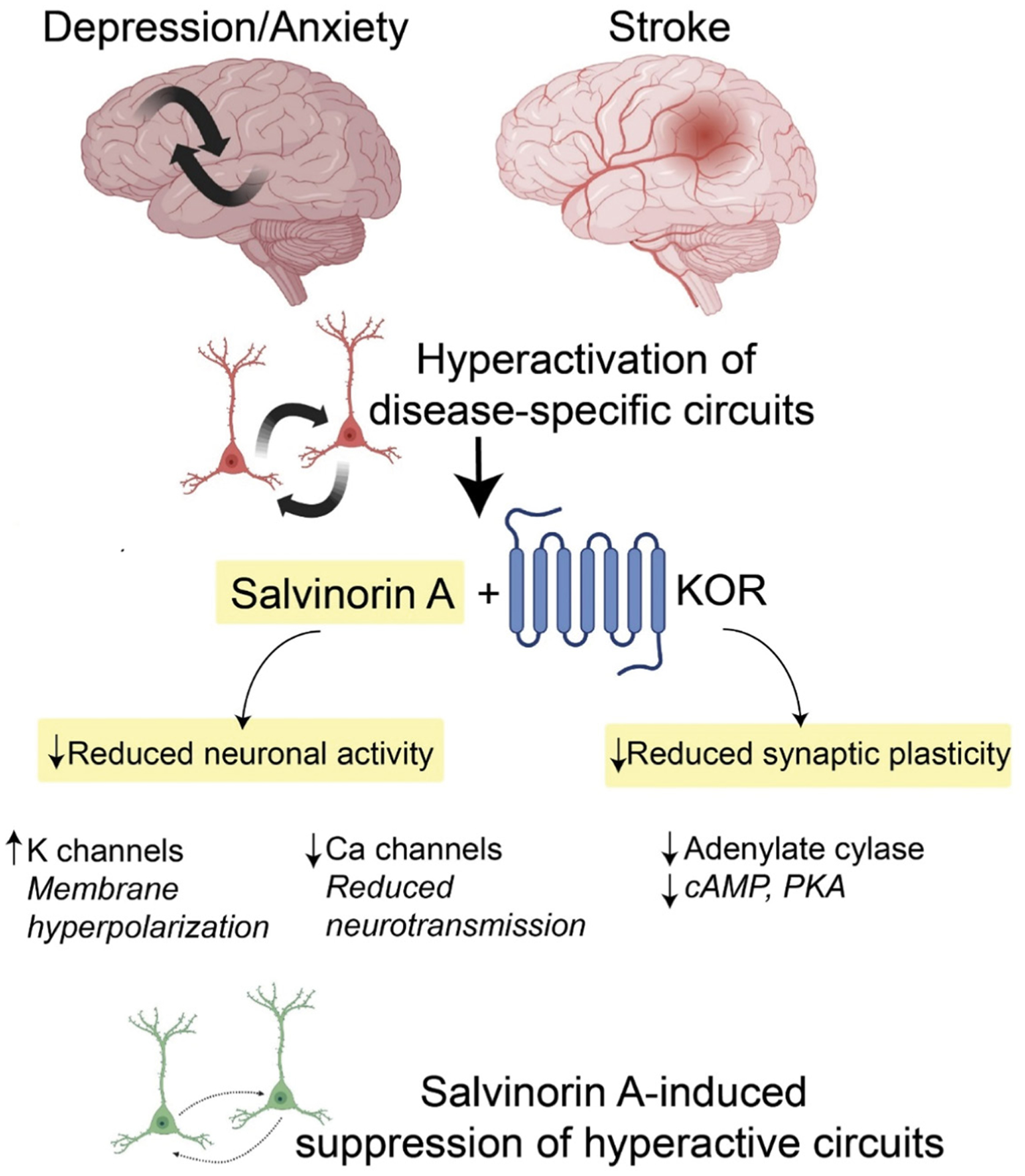 Figure 2: