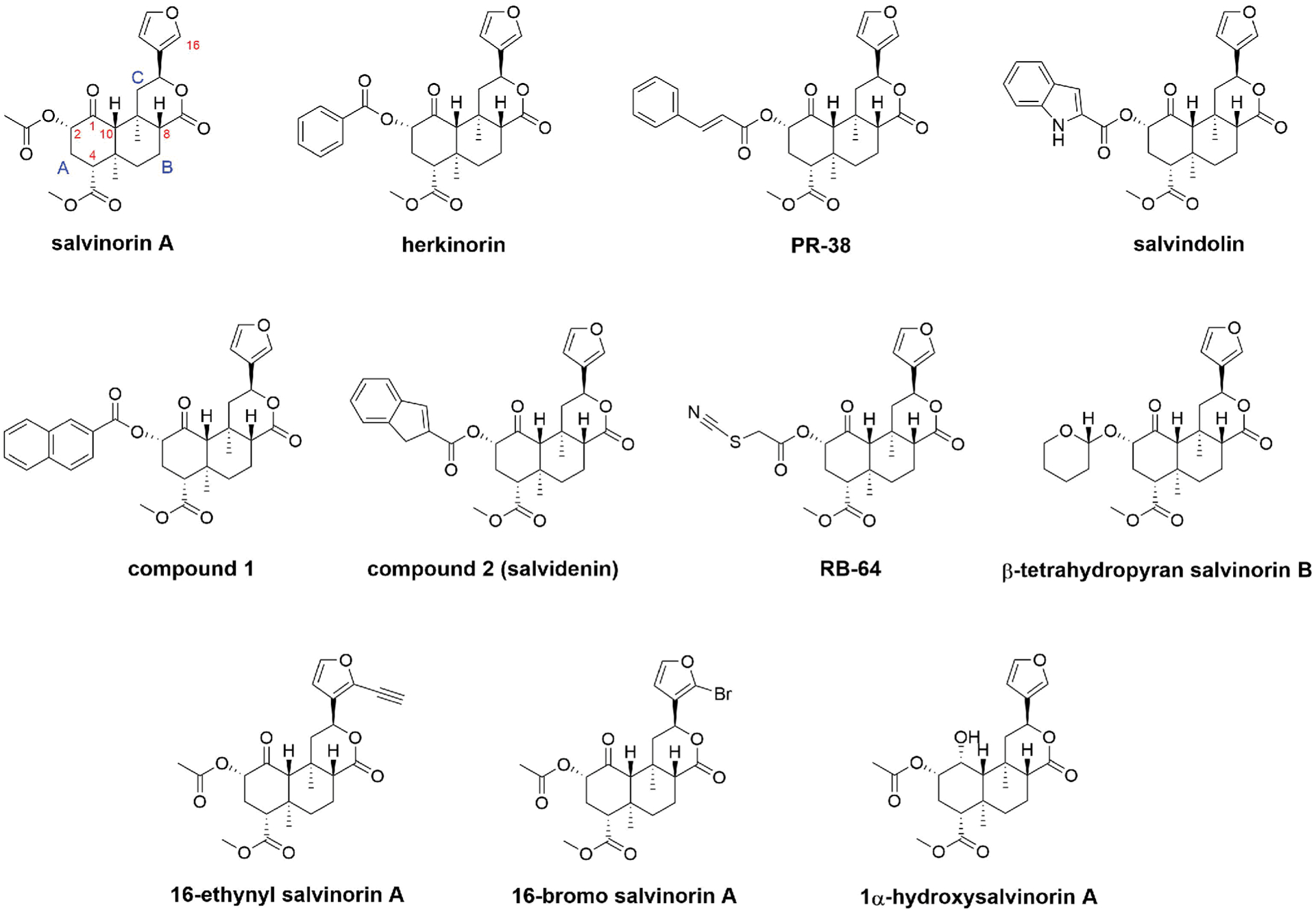 Figure 1: