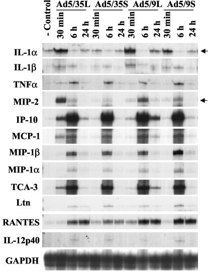 FIG. 7.