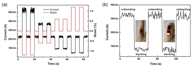 Figure 12