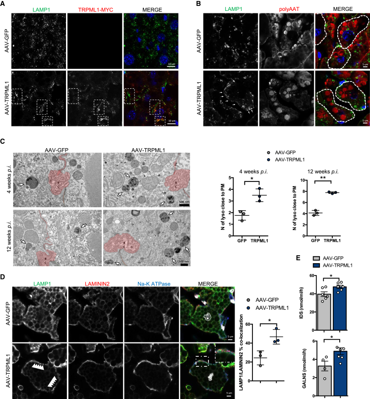 Figure 2