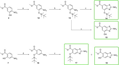 Scheme 5