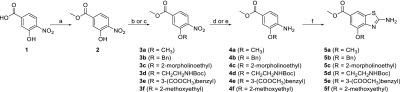 Scheme 2