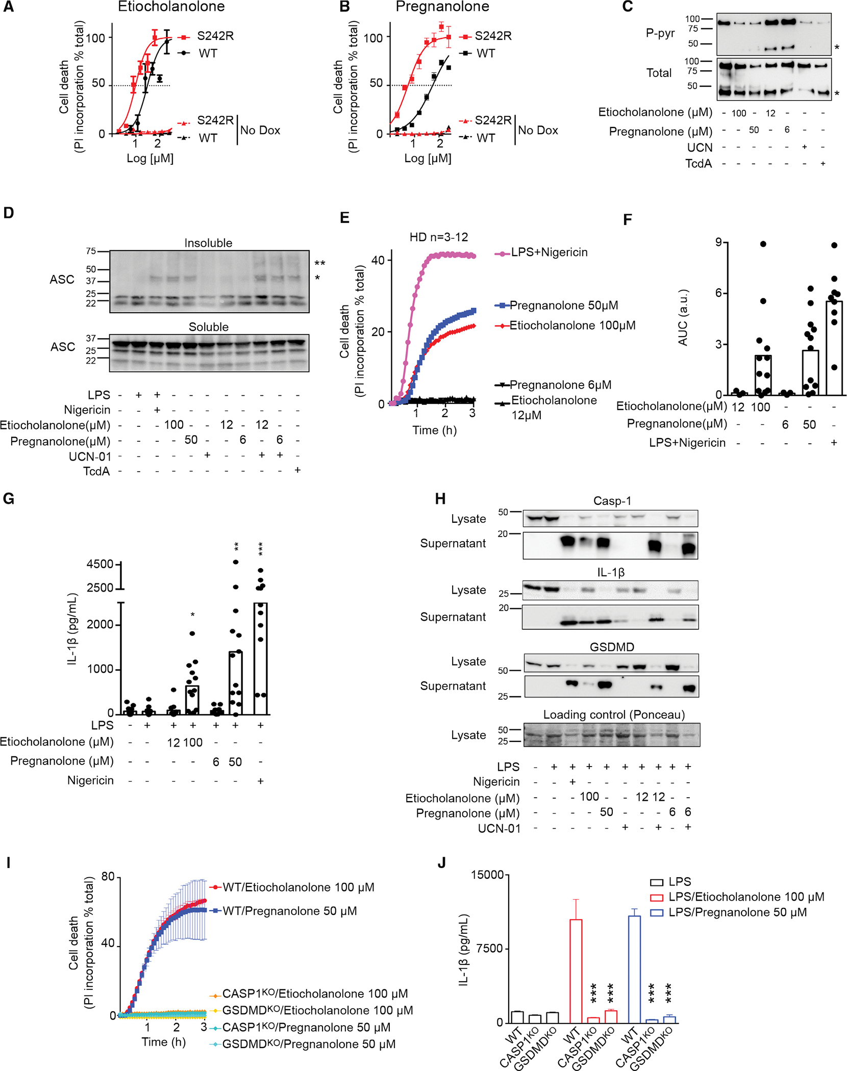 Steroid hormone catabolites activate the pyrin inflammasome through a ...