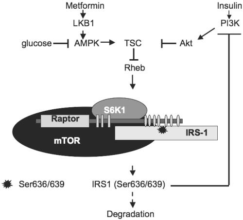 FIG. 9.