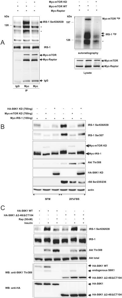 FIG. 8.