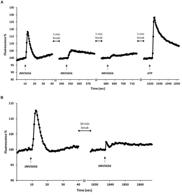 FIGURE 4