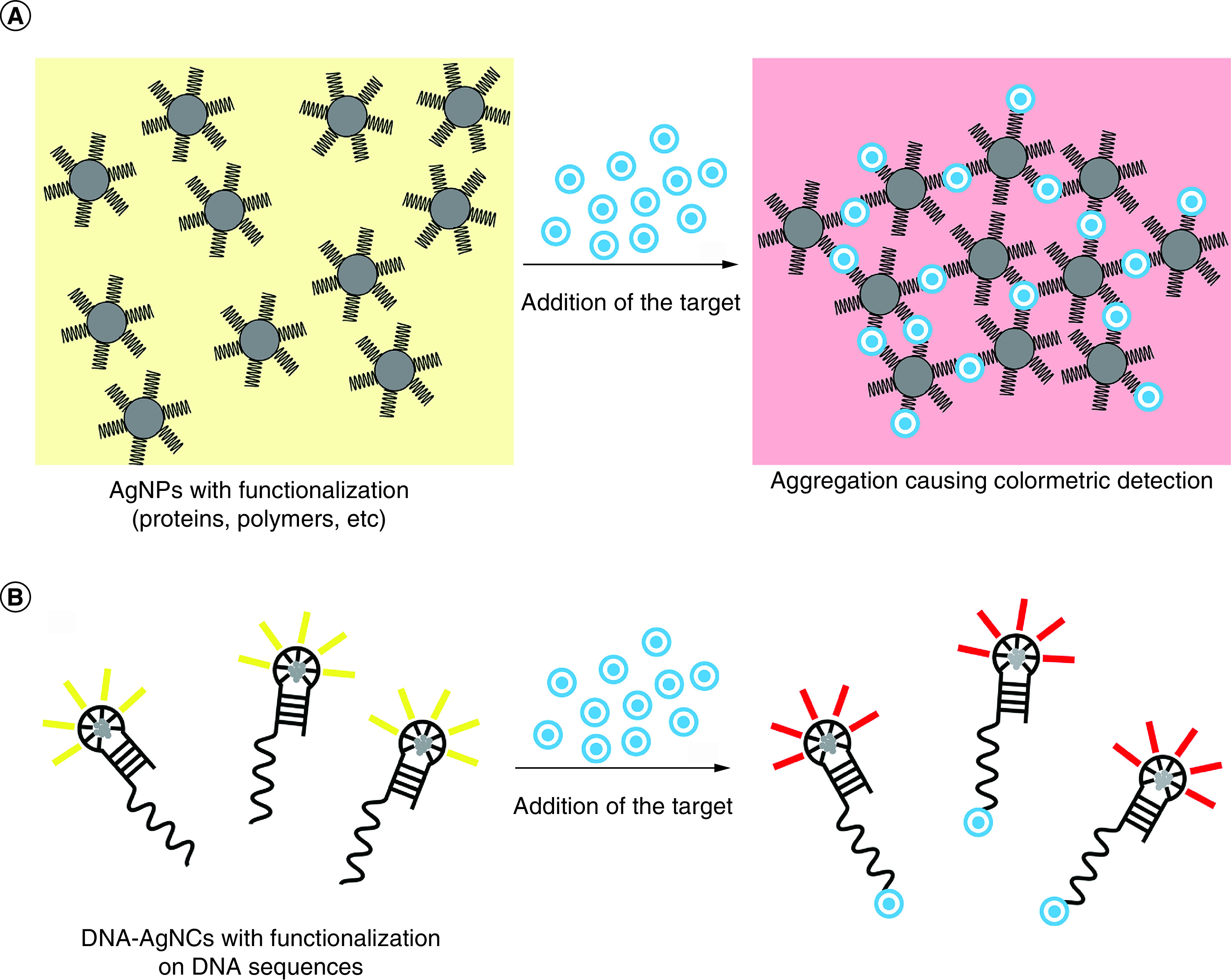 Figure 5. 