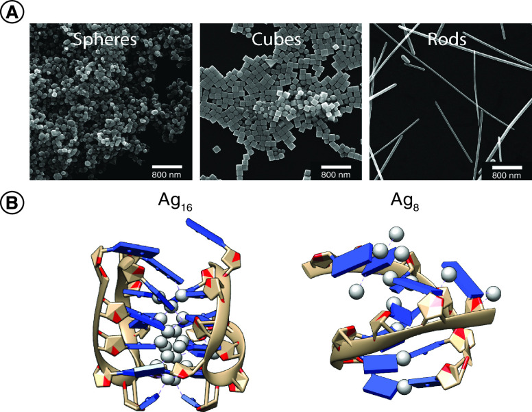 Figure 3. 