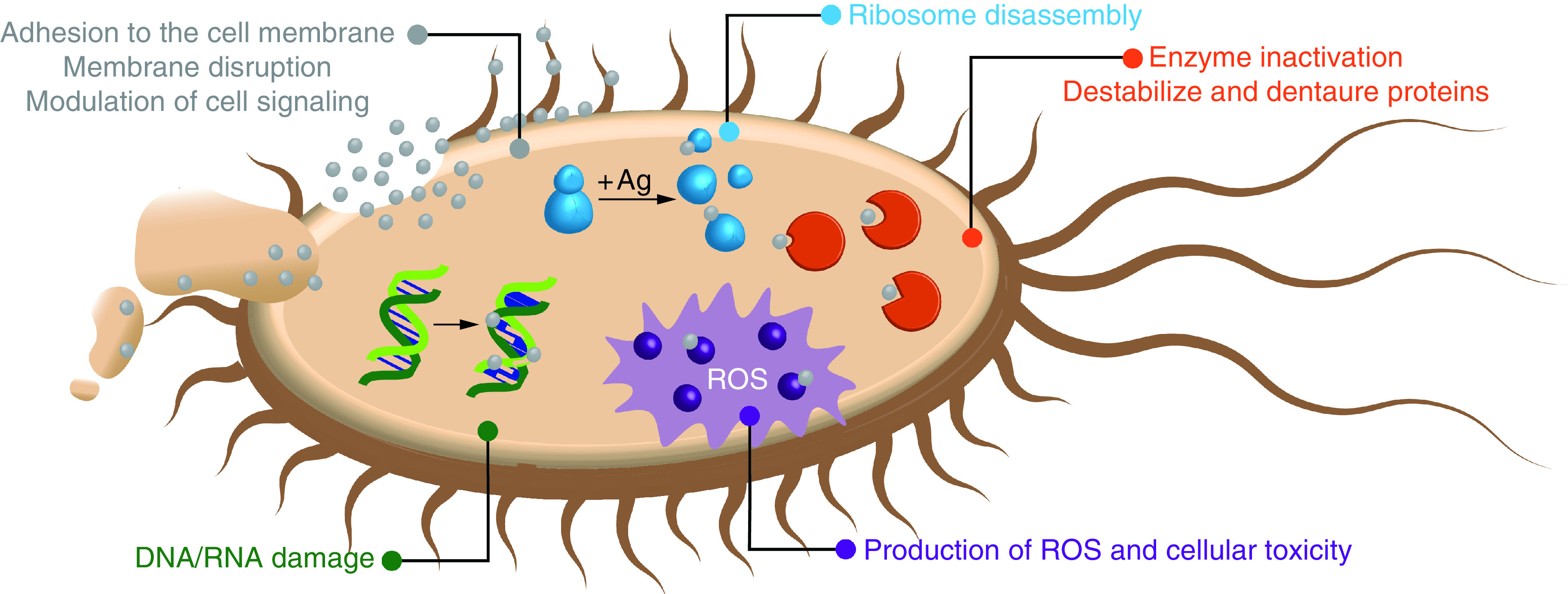 Figure 2. 