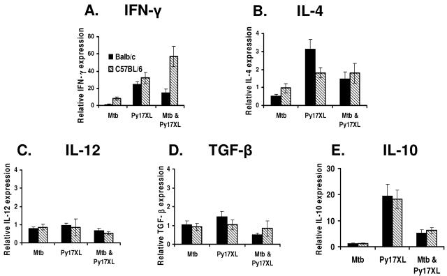 FIG. 7.