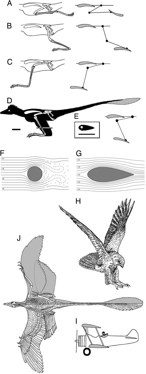 Fig. 2.