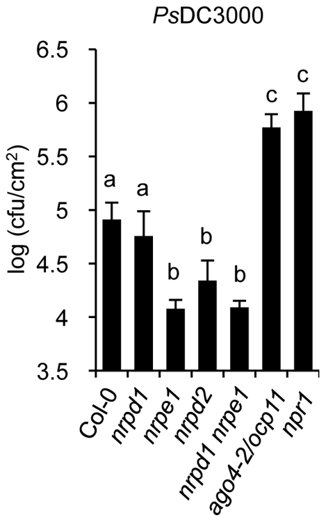 Figure 6