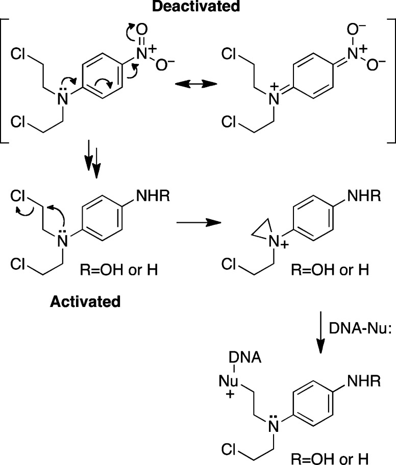 Scheme 2