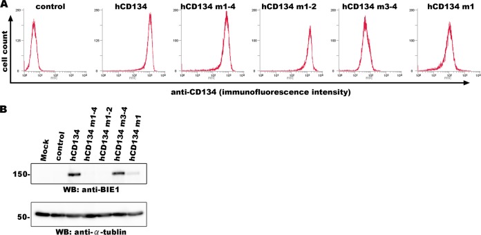 FIG 2