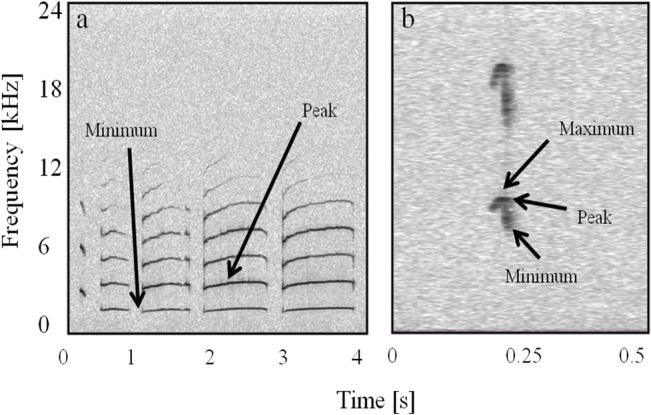 Fig 3