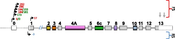 Fig. 3