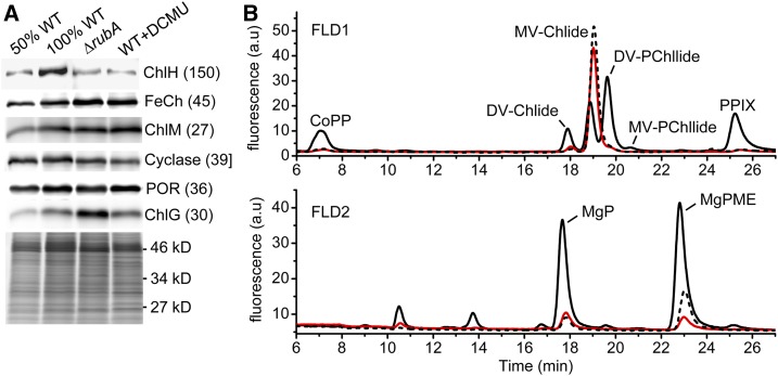 Figure 9.