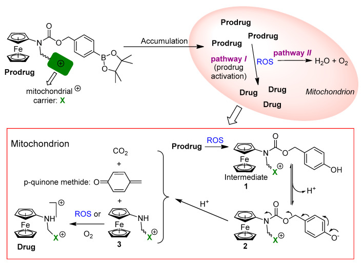 Scheme 1