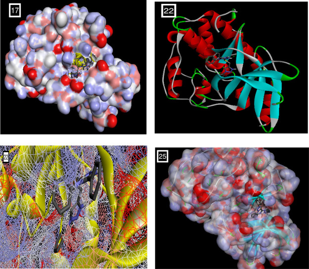 Figure 4