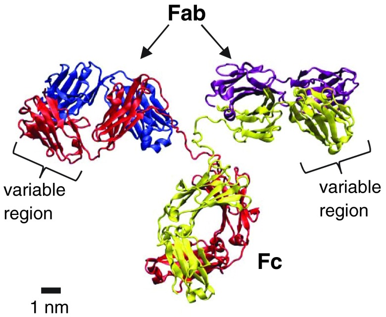 FIG. 1.