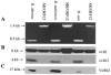 FIG. 2.