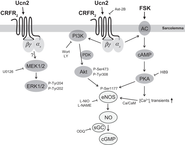 Fig. 9.