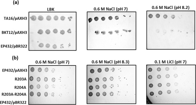 Figure 5