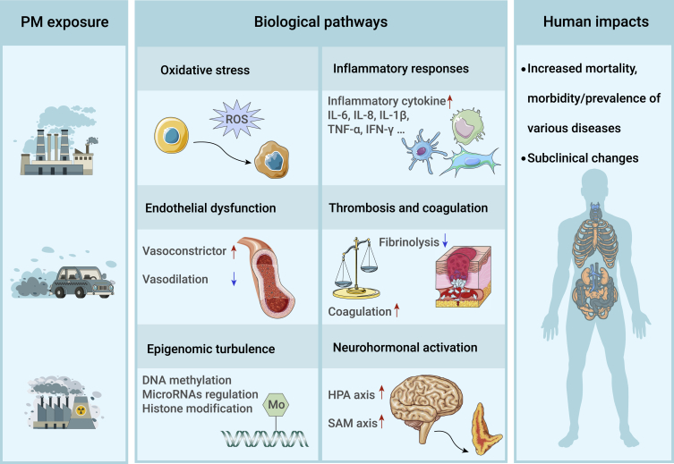 Figure 4