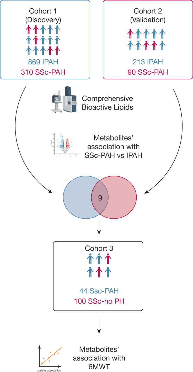 Figure 1