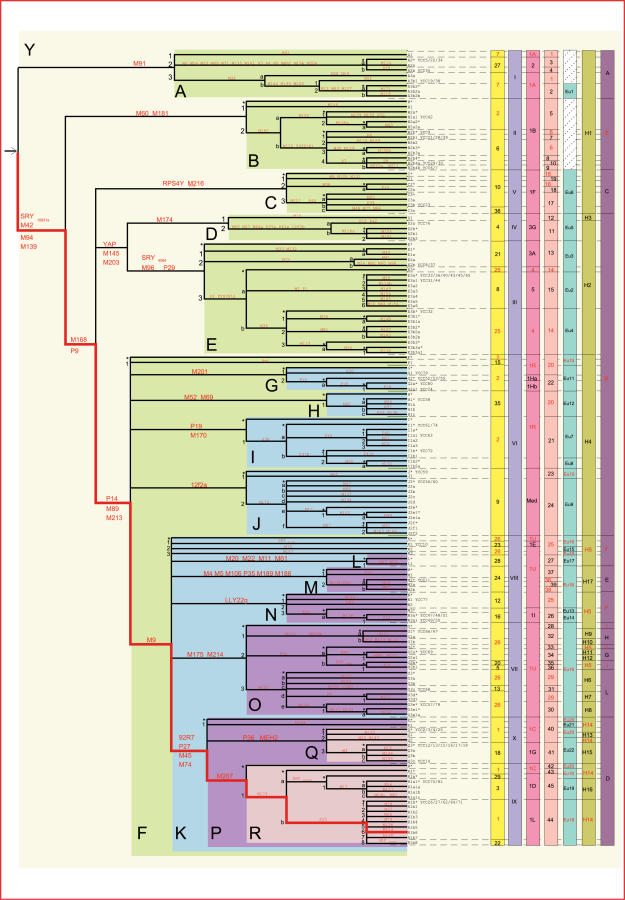 Figure 15