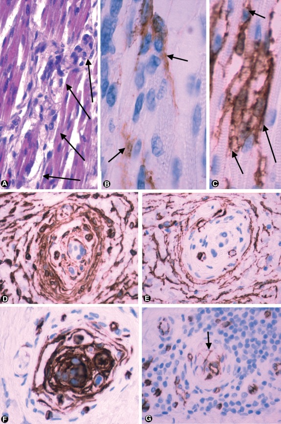 Fig. 5