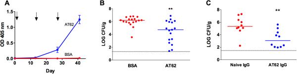 FIG 2