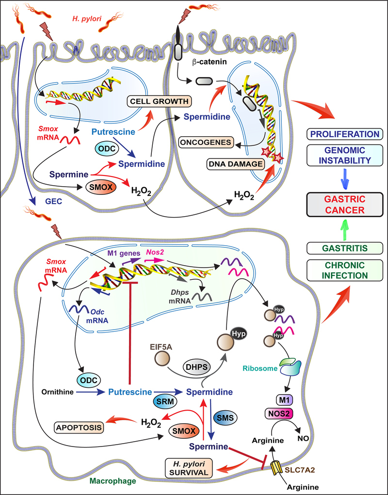 Fig. 2: