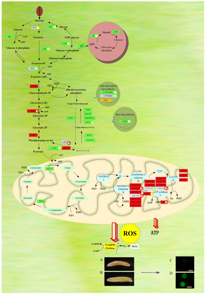 Figure 10