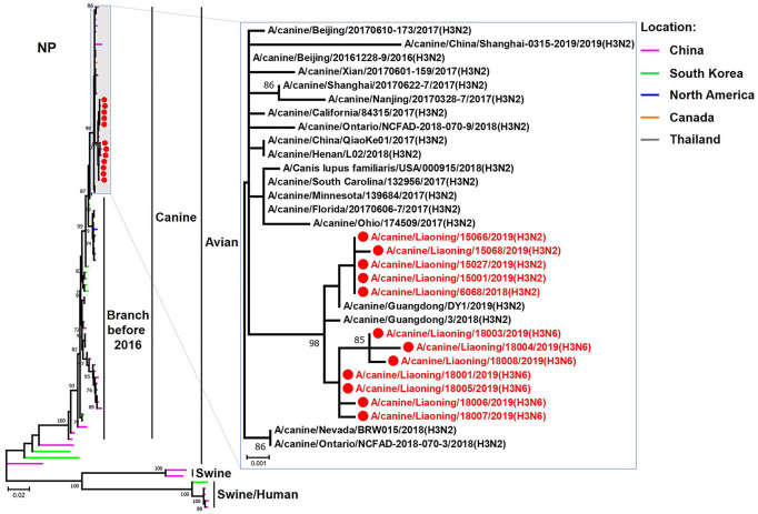 Figure 6