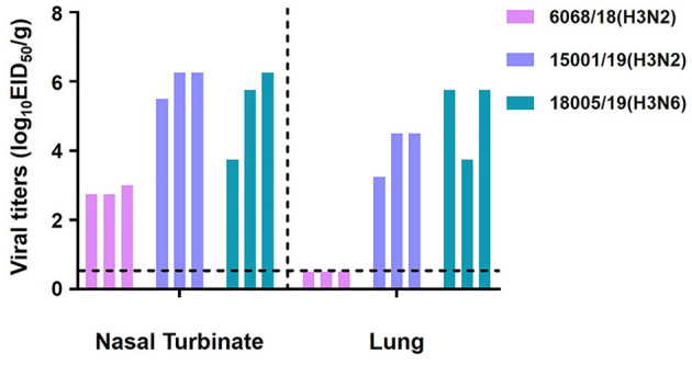 Figure 12