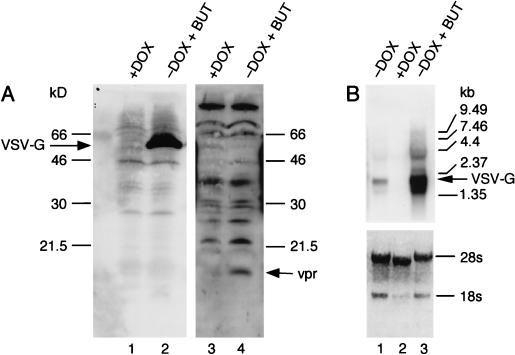 FIG. 5