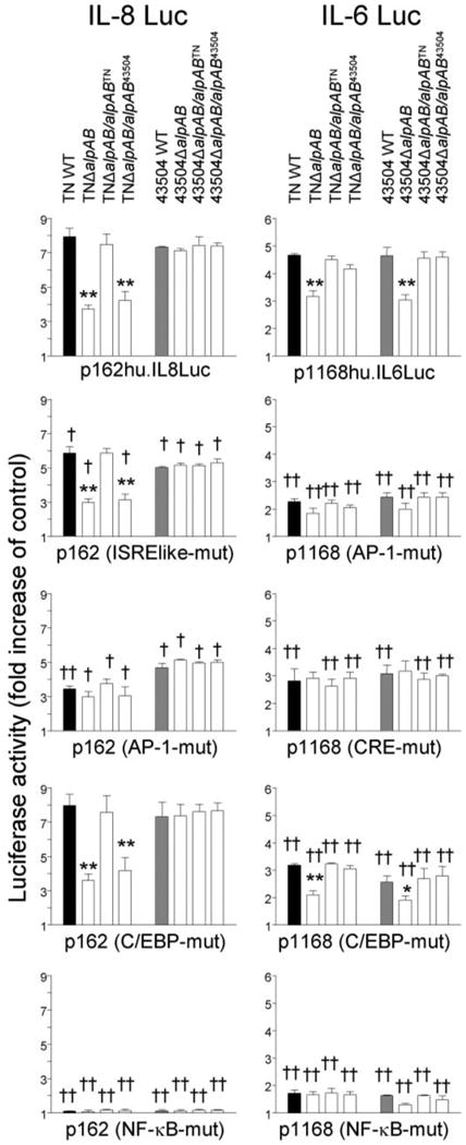 FIGURE 4