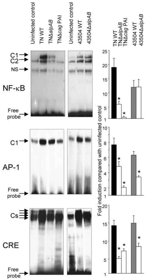 FIGURE 6