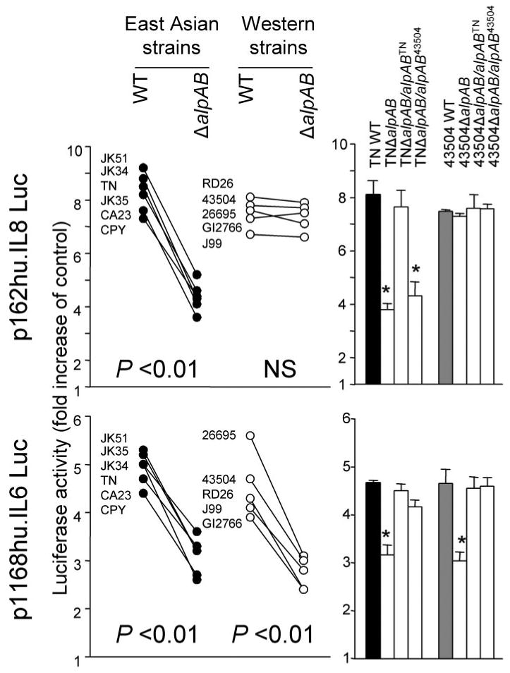 FIGURE 3